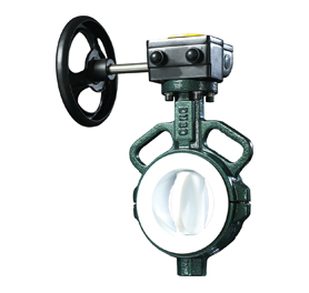 RBV060