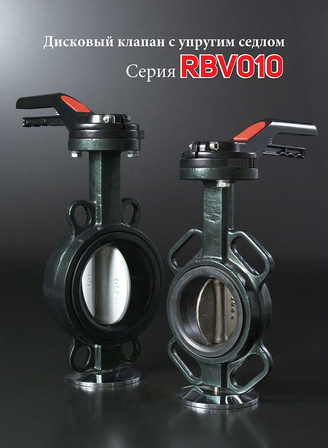RBV010-ENG-2.jpg
