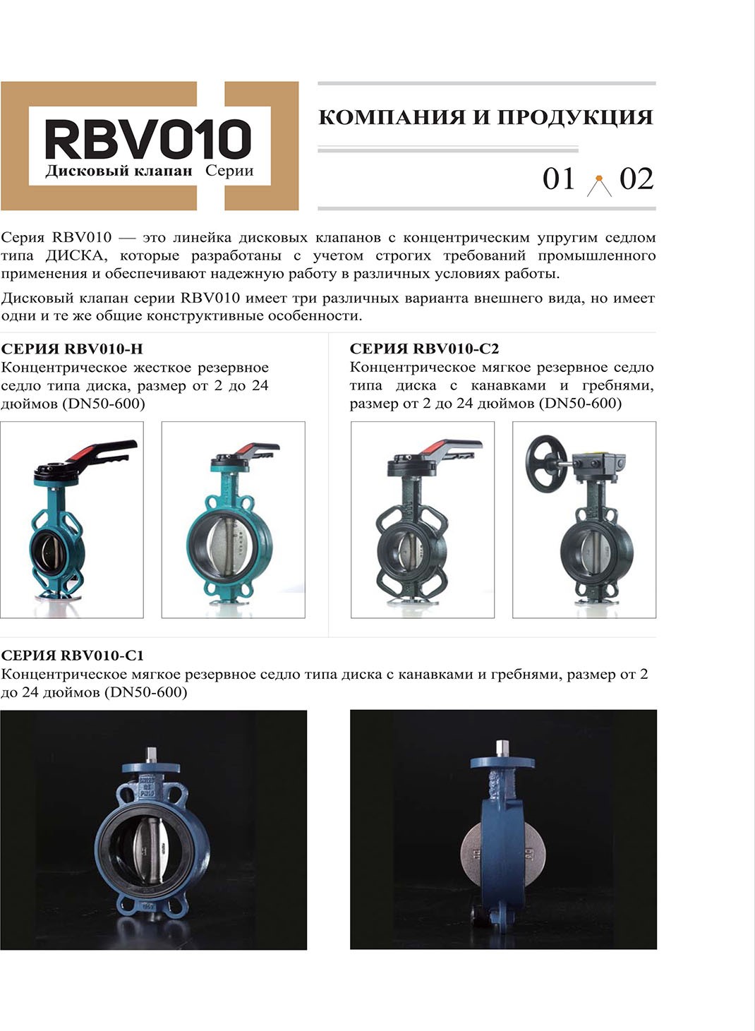 RBV010-ENG-3.jpg