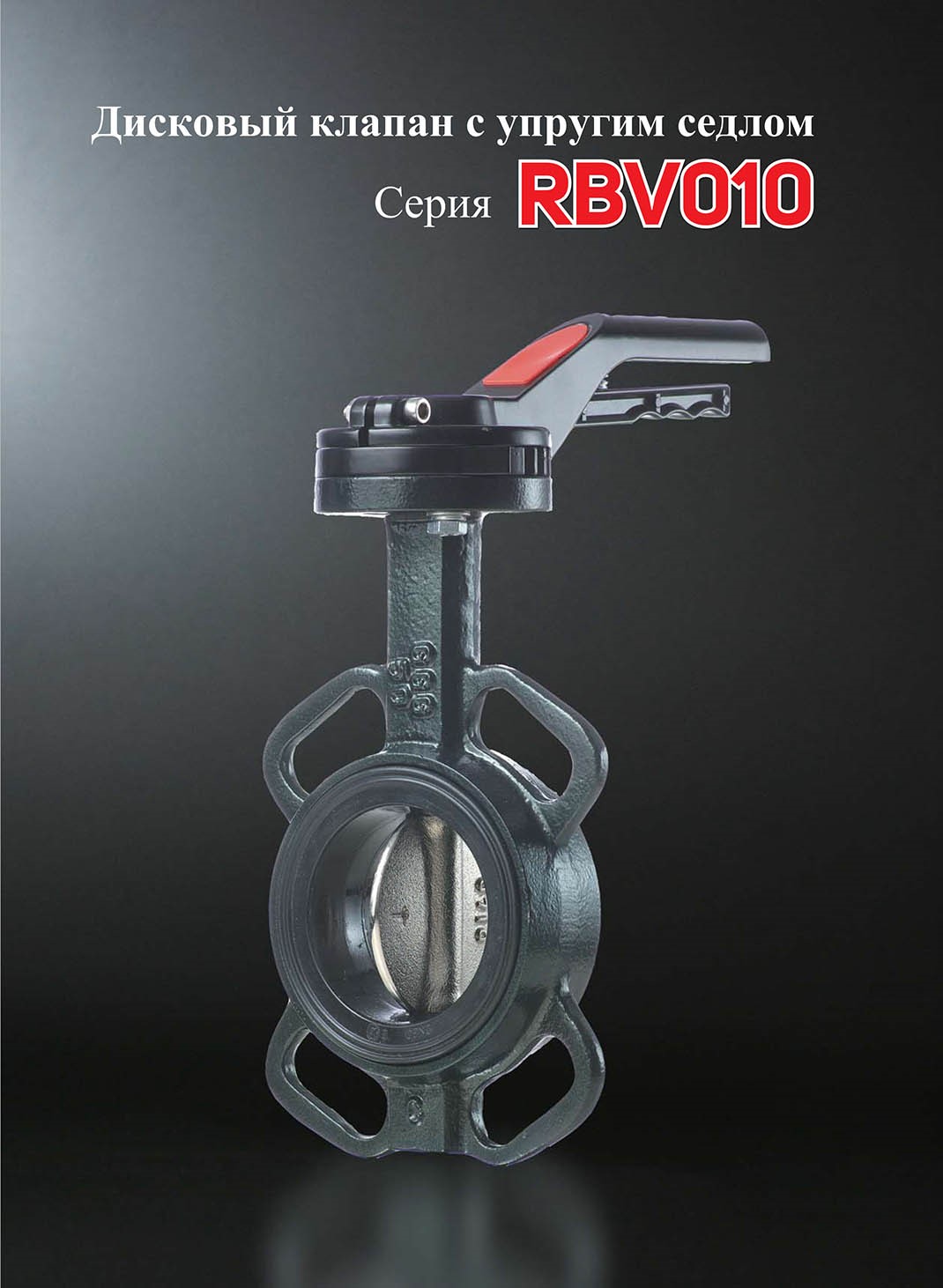 RBV010-ENG-8-1.jpg