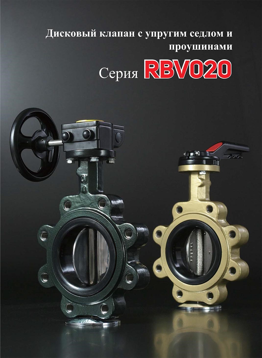 RBV020-ENG-2.jpg