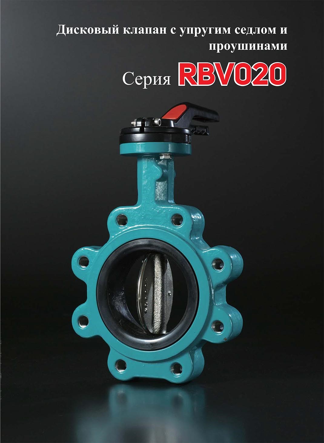 RBV020-ENG-6-1.jpg