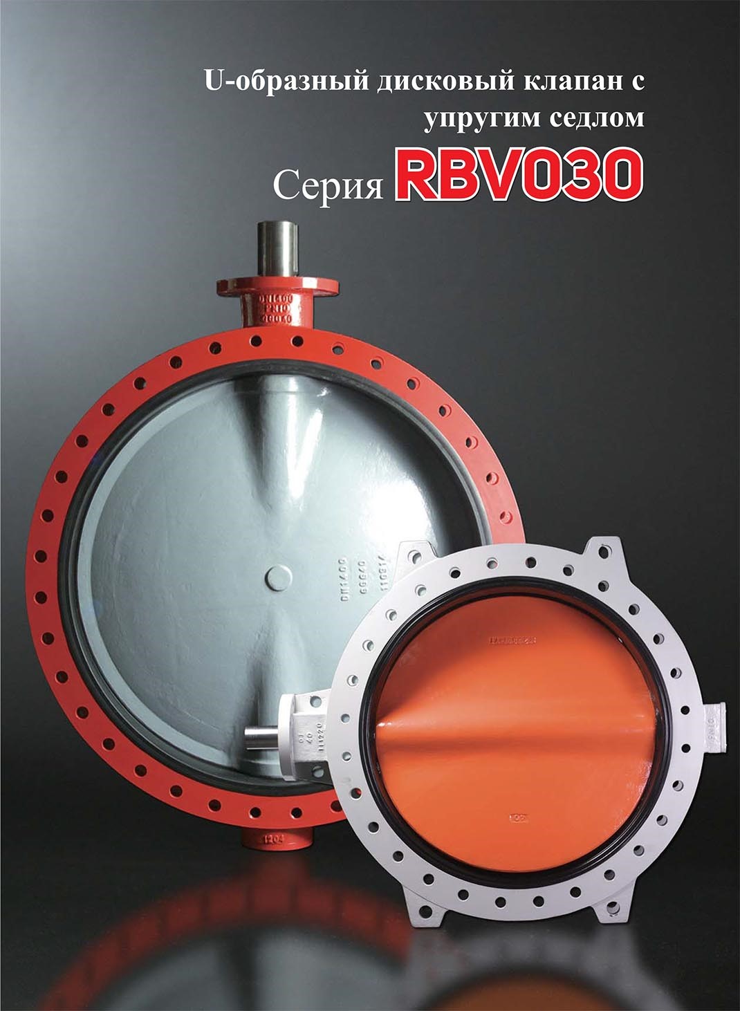 RBV030-ENG-2.jpg