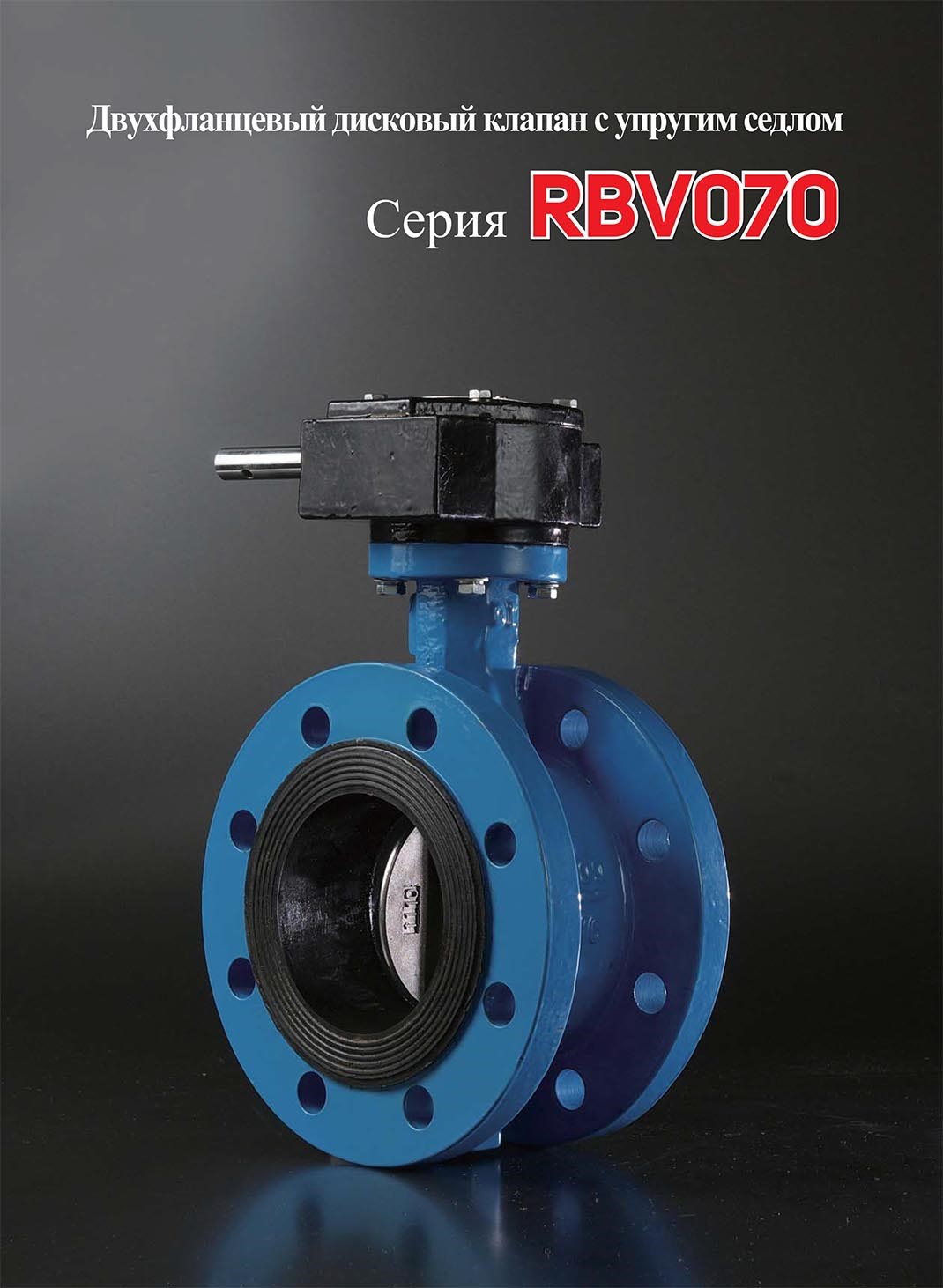 RBV070-ENG-2.jpg