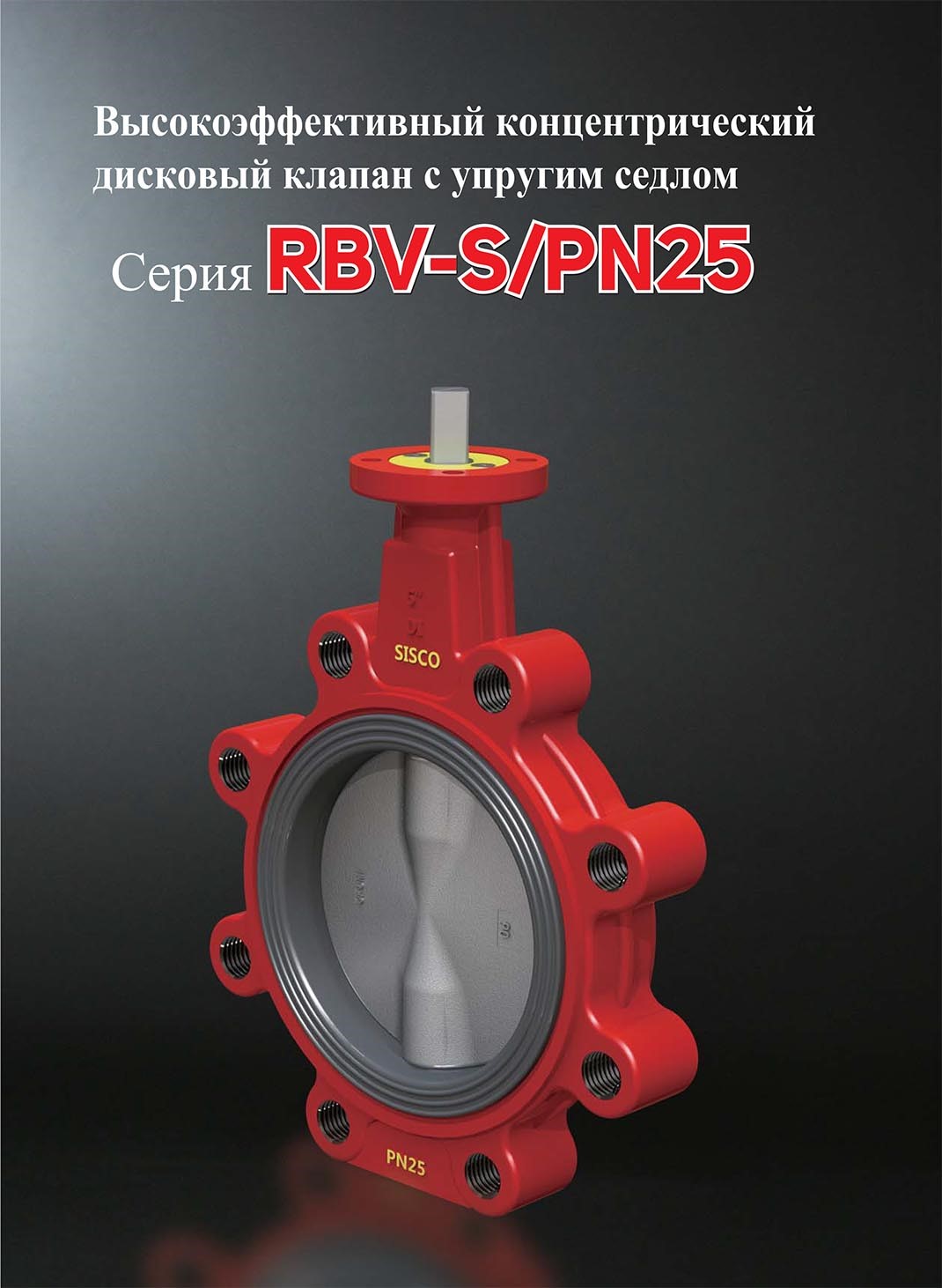 RBV-S-PN25-ENG-2.jpg