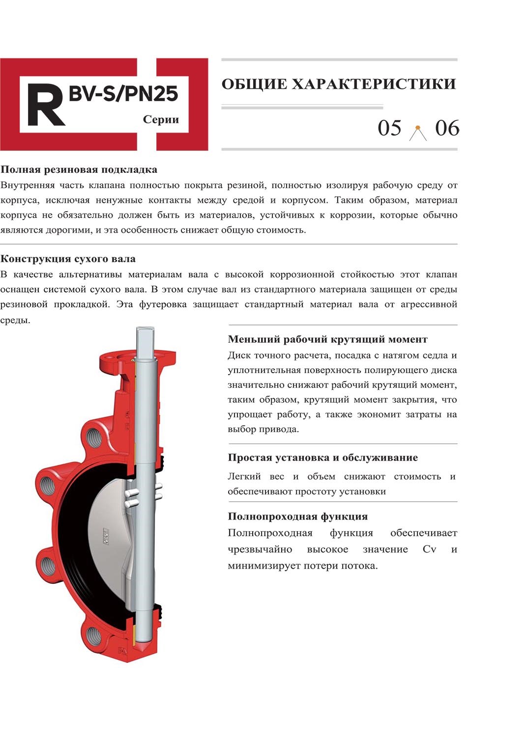 RBV-S-PN25-ENG-5.jpg