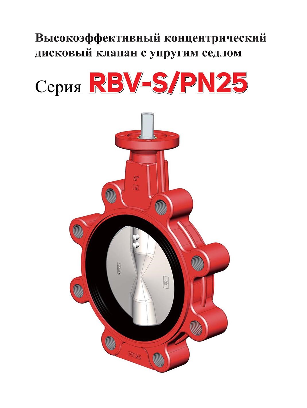 RBV-S-PN25-ENG-6-1.jpg