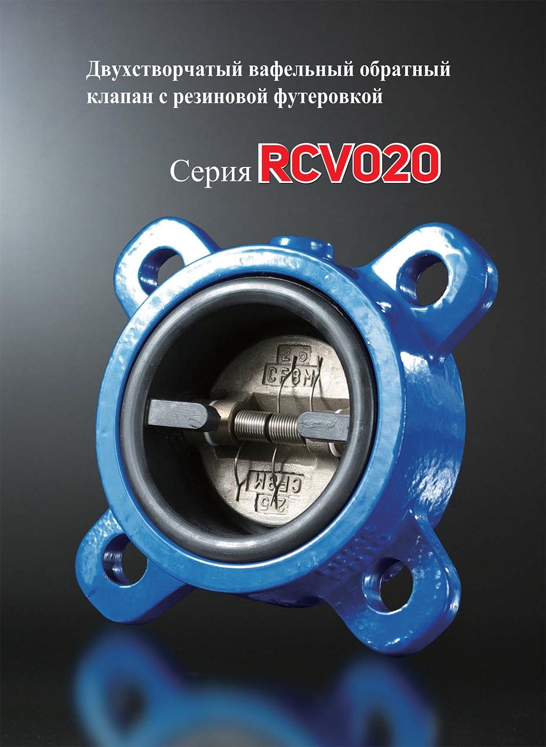 RCV020-ENG-2.jpg