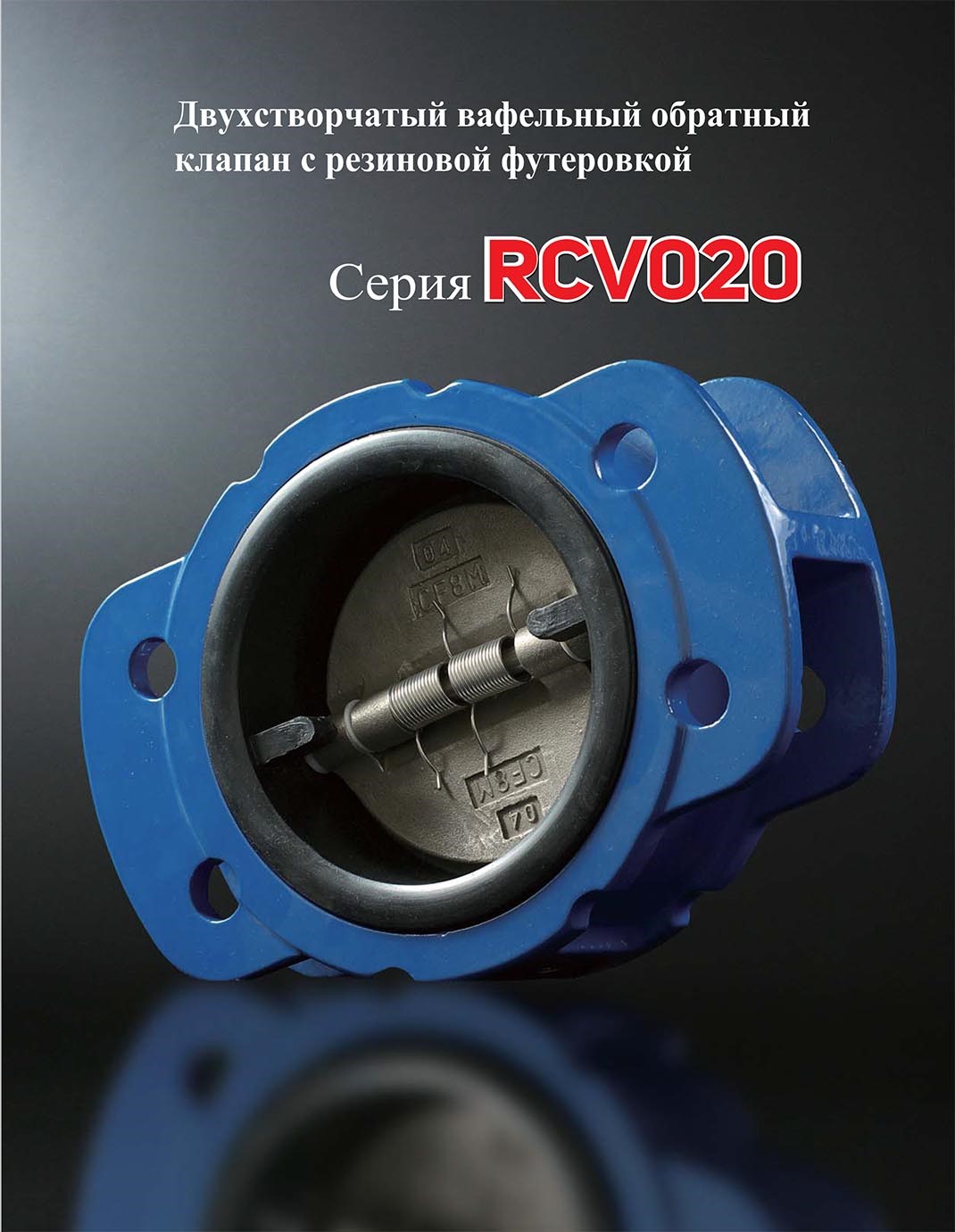 RCV020-ENG-6-1.jpg