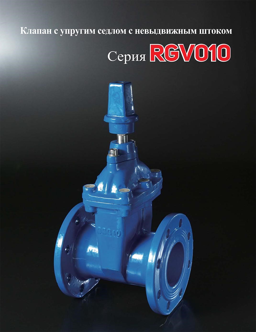 RGV010-ENG-6-1.jpg