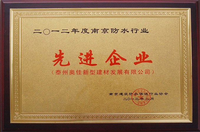 泰州奧佳先進企業(yè)2012